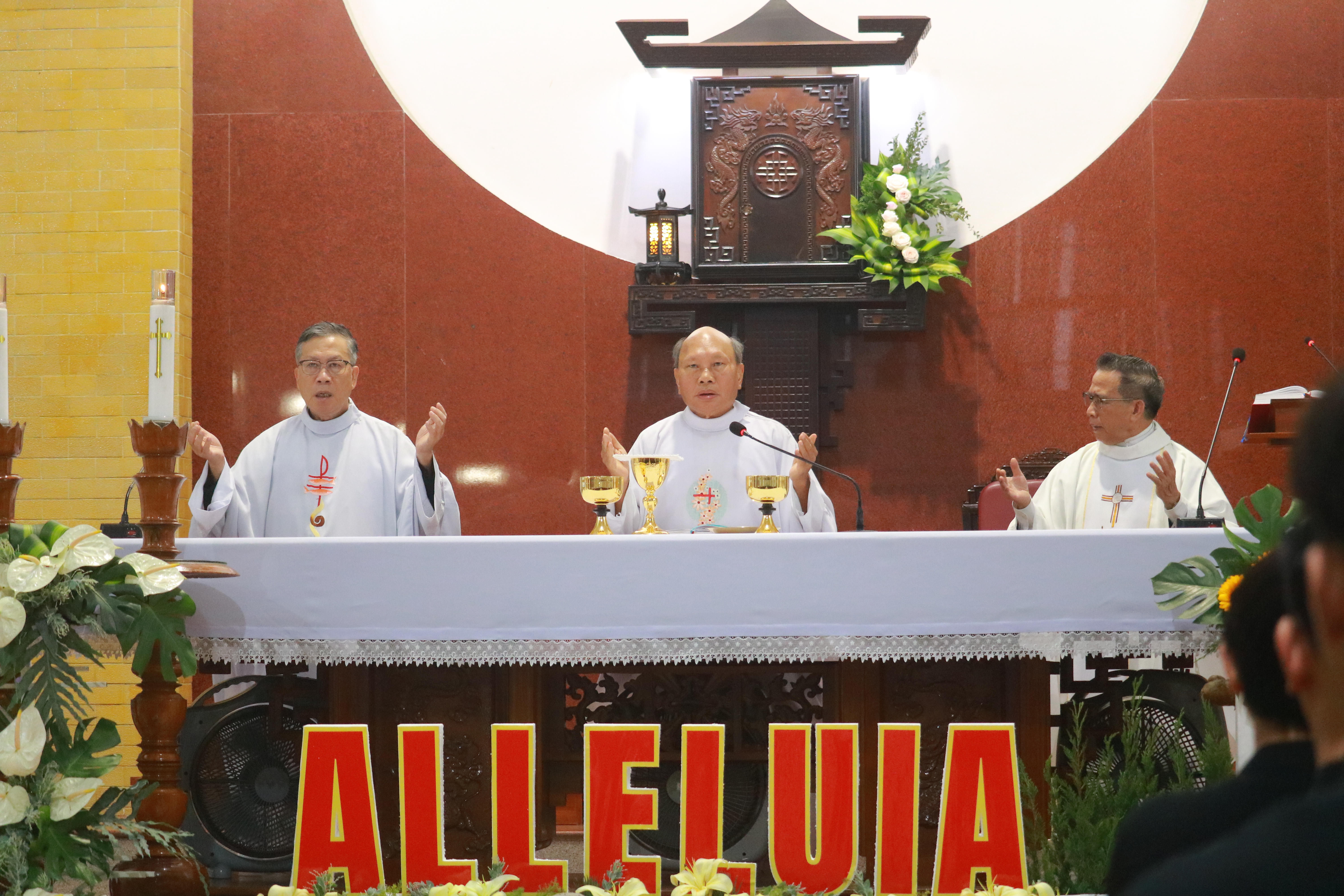 Album Lễ Kỷ Niệm 23 Năm Linh Mục Cha Anr&ecirc; Đo&agrave;n Văn Điểm